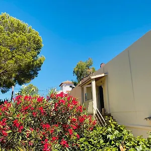 https://hostal-villa-senese.allmallorcahotels.com